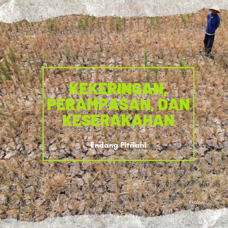 Kekeringan, Perampasan, dan Keserakahan